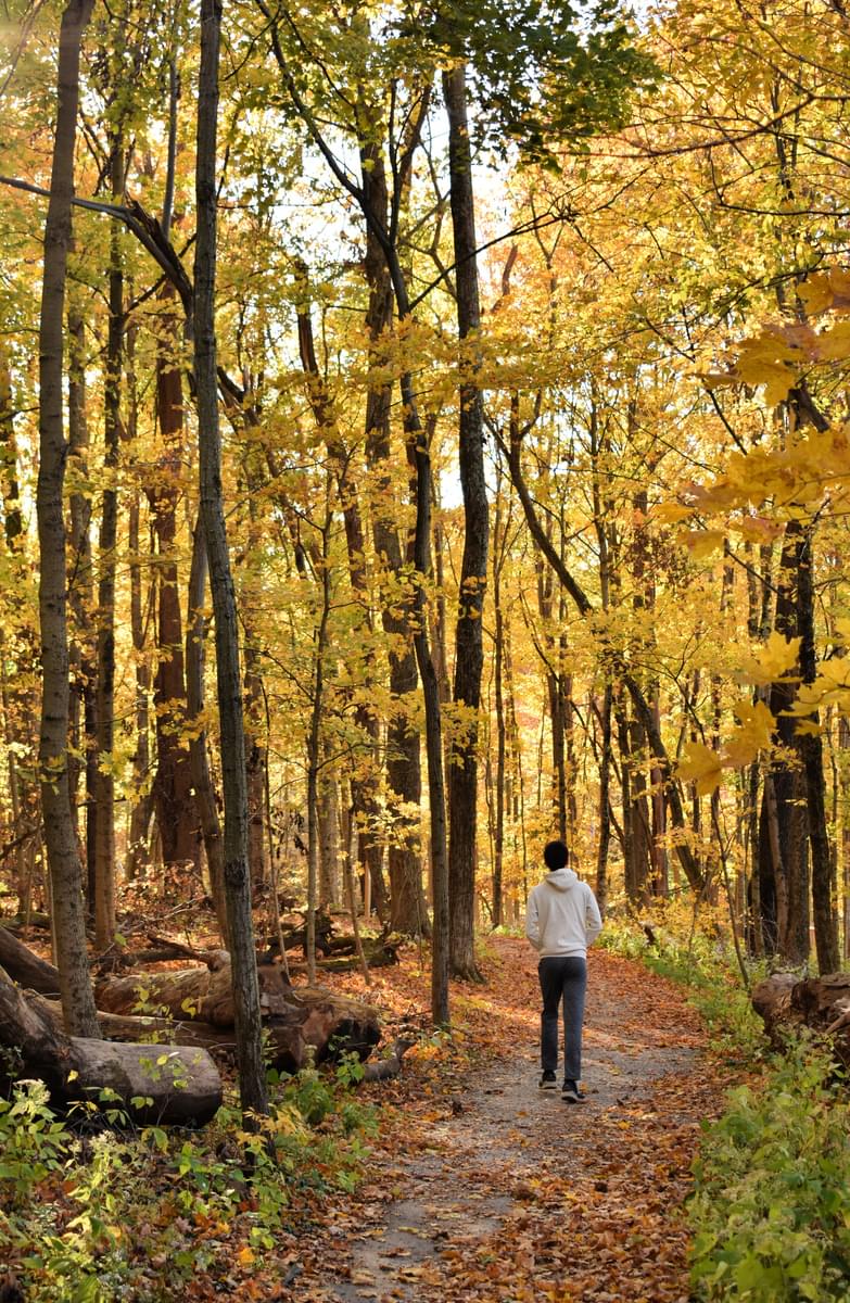 Teen walks down autumn trail
